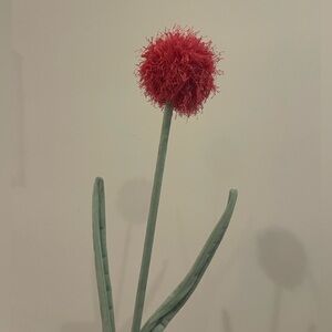 CJ Hendry Flower Shop bloom hot pink allium